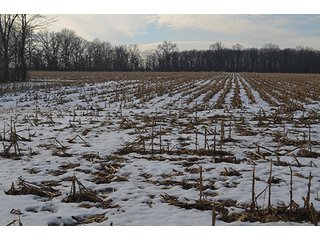 Property photo 19 - FARMLAND AUCTION, 60+/- Acres in 6 Tracts ranging from 4 to 20 acres & in combinations!